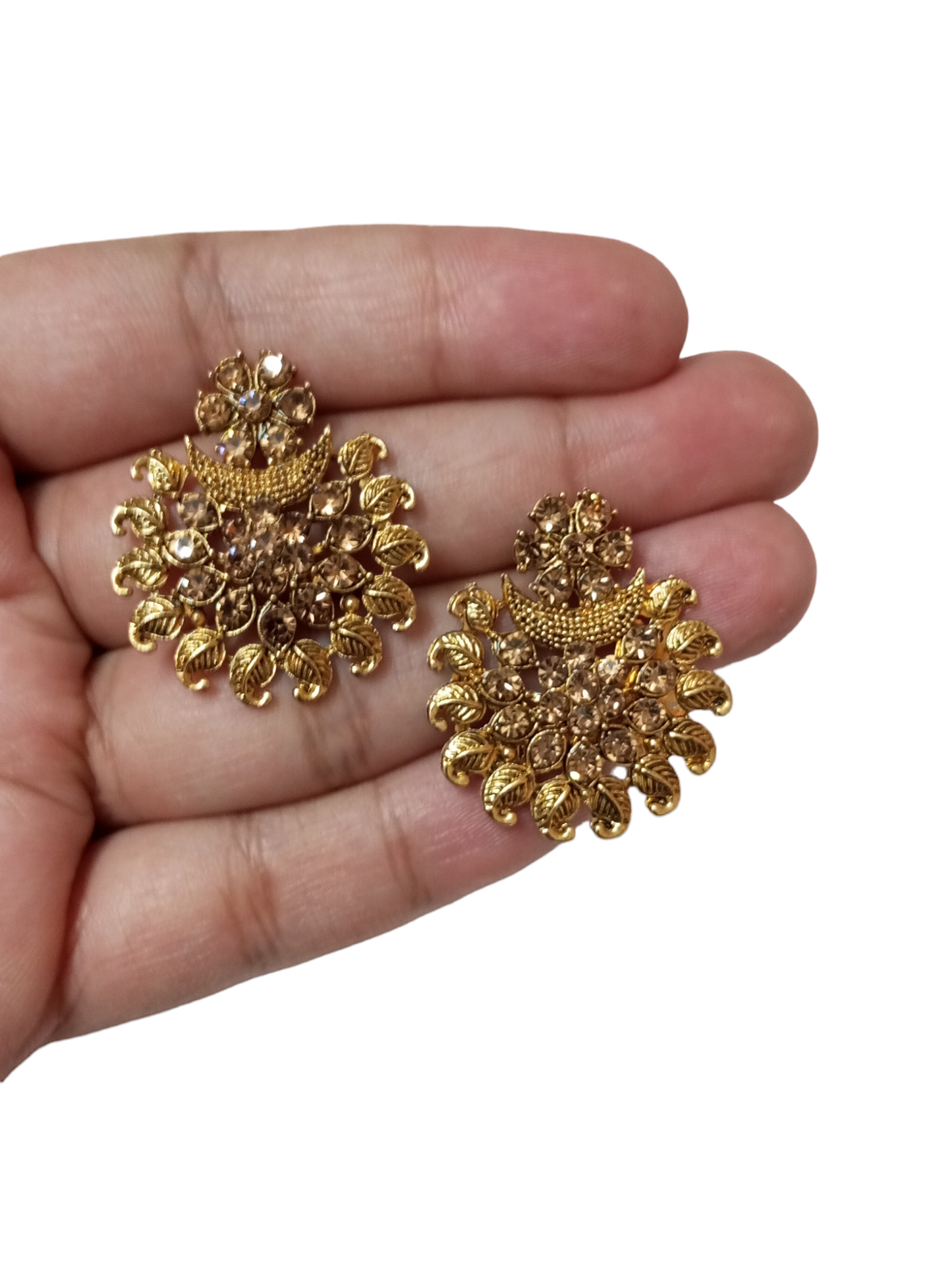 Fashion v10 Earrings