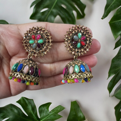 Sarva Multicolor Jhumka Earrings
