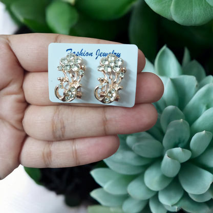 Peacock Earrings Combo